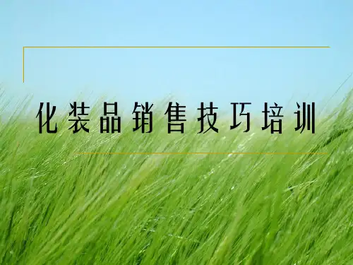 化妆品销售技巧培训1062405869幻灯片PPT