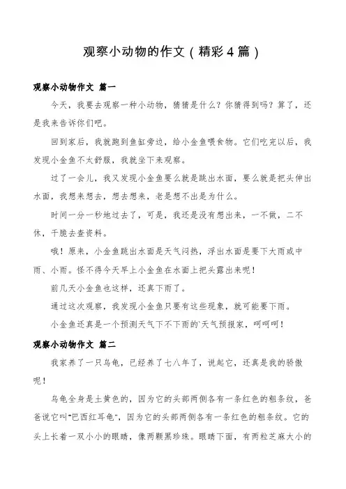 观察小动物的作文(精彩4篇)