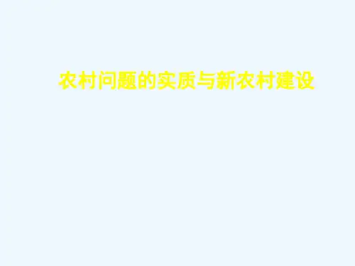 《新农村建设》教学课件