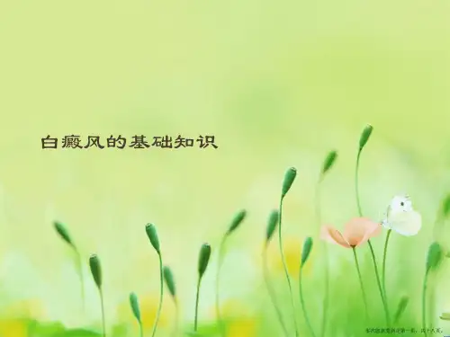 白癜风的基础知识
