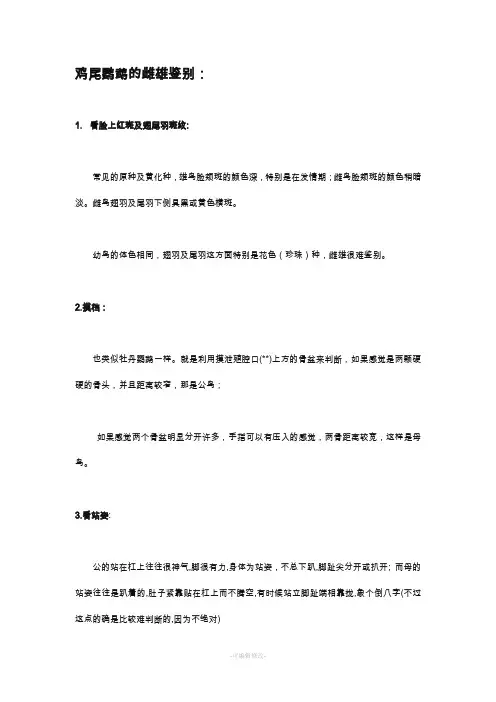 玄凤公母鉴别及饲养问题