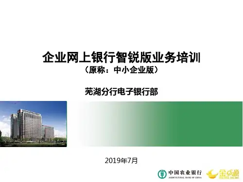 企业网银智锐版(中小企业版)业务共63页文档