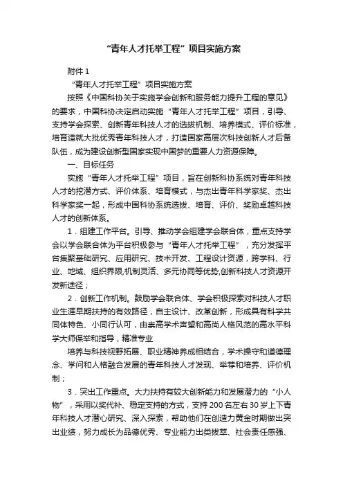 “青年人才托举工程”项目实施方案