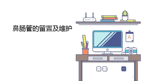 鼻肠管的留置及维护PPT课件