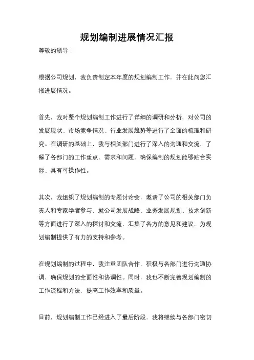 规划编制进展情况汇报