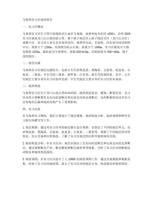 马角坝实习区地质报告