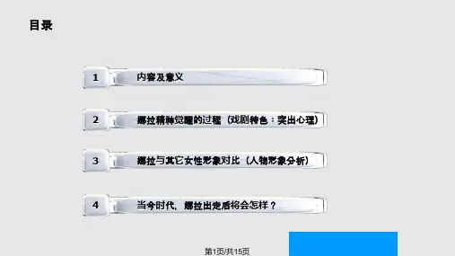 玩偶之家完美PPT课件