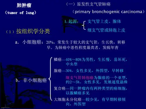 呼吸系统肿瘤X线诊断(大量实例X片)