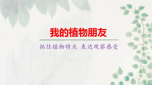 习作：我的植物朋友ppt课件