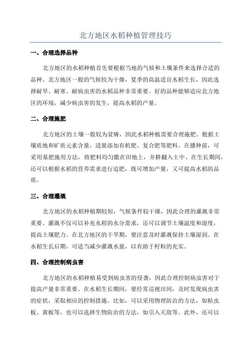 北方地区水稻种植管理技巧