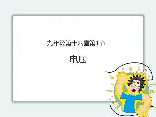 16.1  电压—人教版九年级物理全一册课件