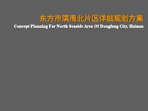 东方市滨海北片区详细规划方案
