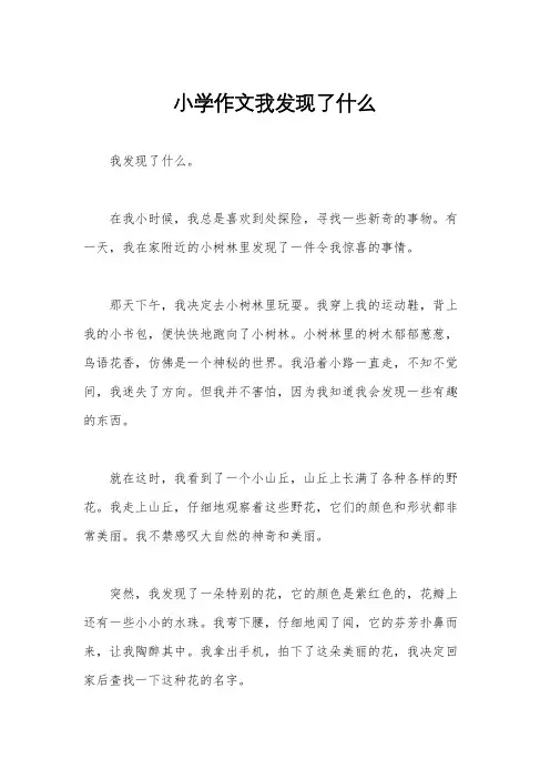 小学作文我发现了什么