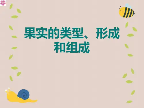 果实的类型、形成和组成