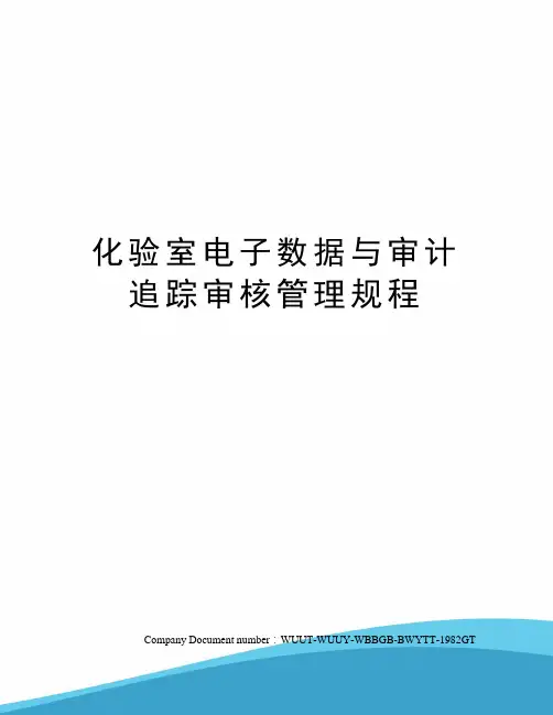 化验室电子数据与审计追踪审核管理规程
