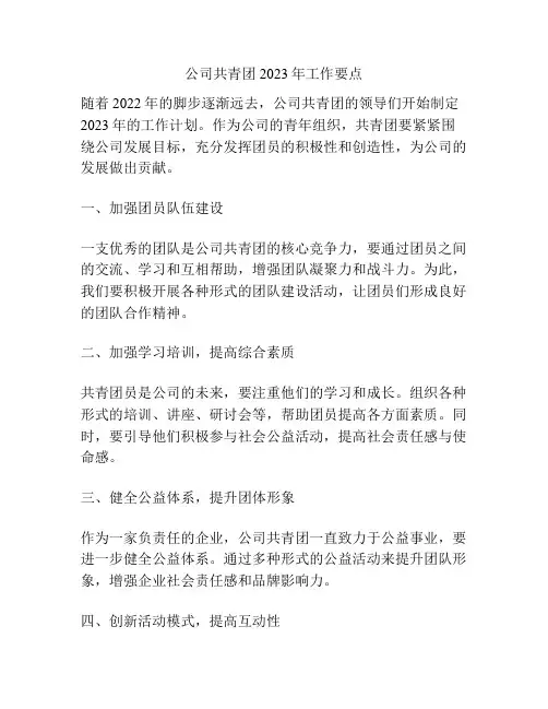 公司共青团2023年工作要点