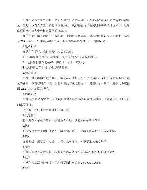 小葫芦怎么种植？