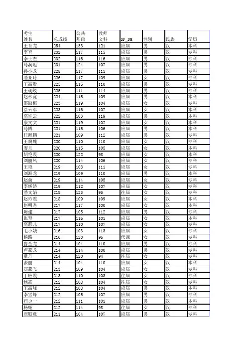 新建 Microsoft Excel 工作表
