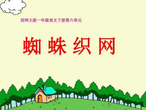 《蜘蛛织网》PPT课件 (共23张PPT)