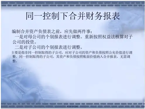 同一控制合并财务报表讲义