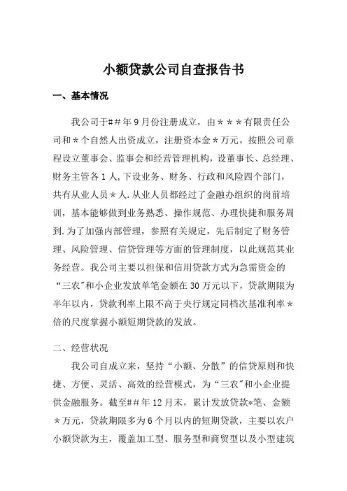 小额贷款公司自查报告书