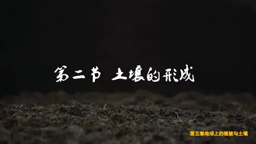5.2 土壤的形成