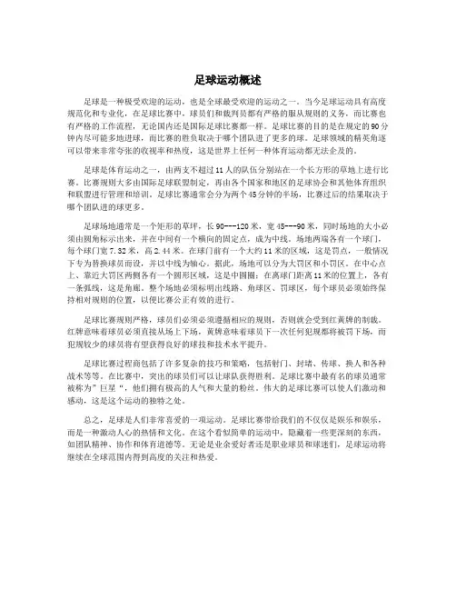 足球运动概述
