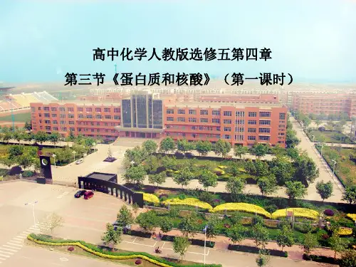 《第三节 蛋白质和核酸》PPT课件(河北省市级优课)