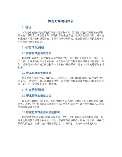 野花野草调研报告