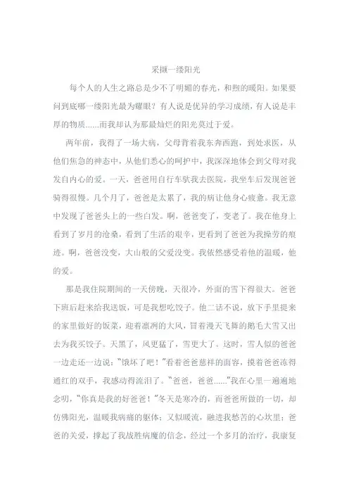德州市中考满分作文-采撷一缕阳光