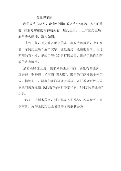 参观药王庙