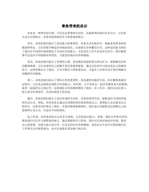 章鱼带来的启示
