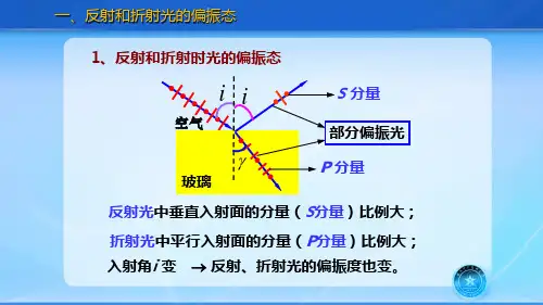 反射光与折射光的偏振态