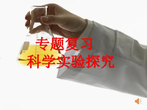 初三中考化学科学实验探究专题复习ppt