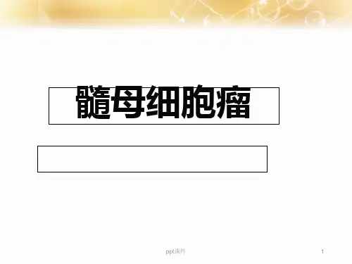 髓母细胞瘤  ppt课件