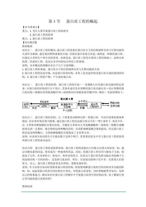 人教版选修三 1.4 蛋白质工程的崛起 教案