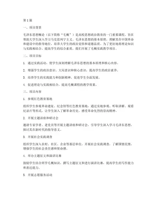 毛概实践教学项目报告书(3篇)
