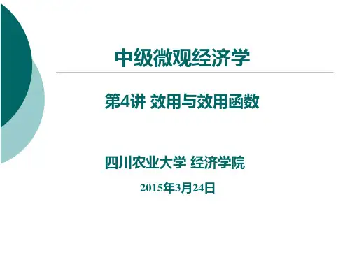 中级微观经济学(第四讲)