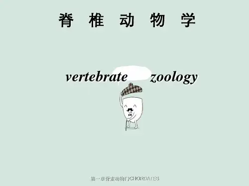 第一章脊索动物门CHORDATES