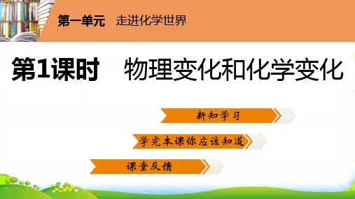 年人教版九年级化学上册课件：第一单元课题1 第1课时 物理变化和化学变化