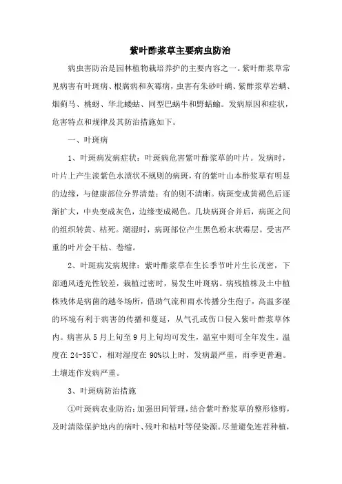紫叶酢浆草主要病虫防治