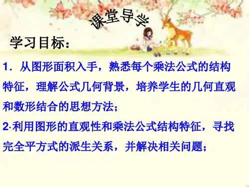 几何背景下的乘法公式