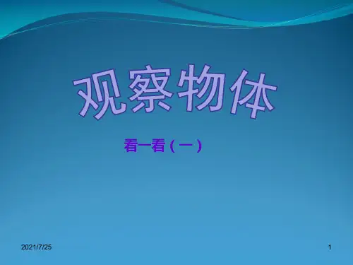 三级上册数学《观察物体》    (共23张PPT)