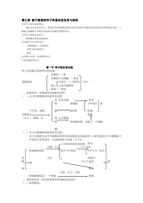 被子植物的种子和果实的发育与结构