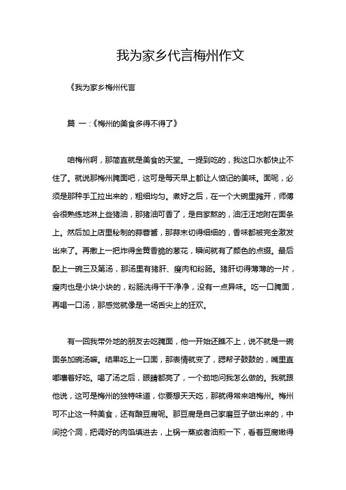 我为家乡代言梅州作文