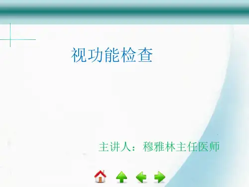 视功能检查法