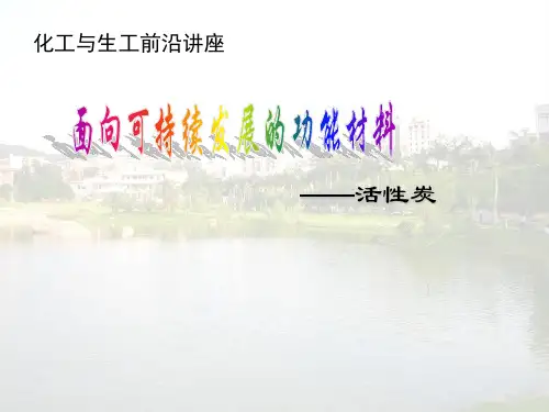 活性炭讲座ppt课件