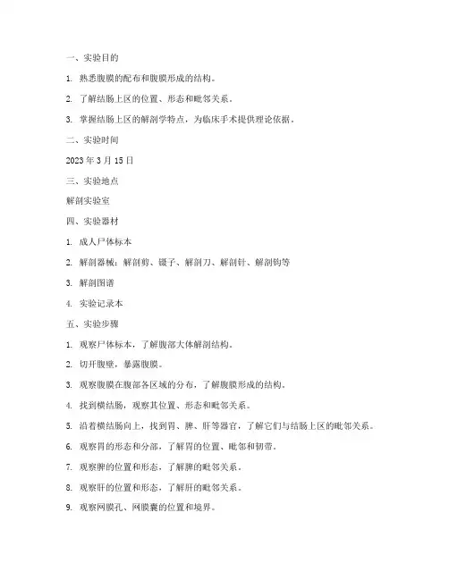 解剖结肠上区实验报告