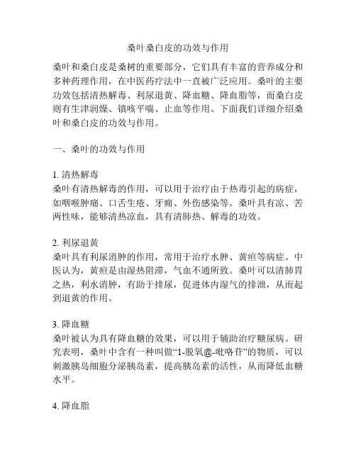 桑叶桑白皮的功效与作用