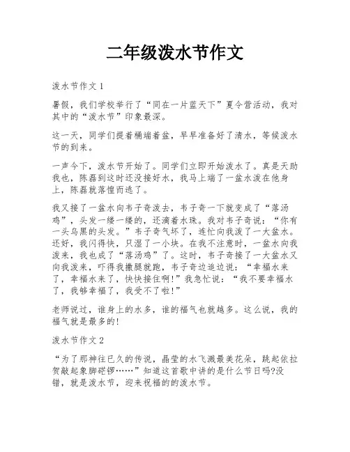 二年级泼水节作文